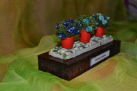 /album/minipeanas1/peanascuadros-003-jpg1/